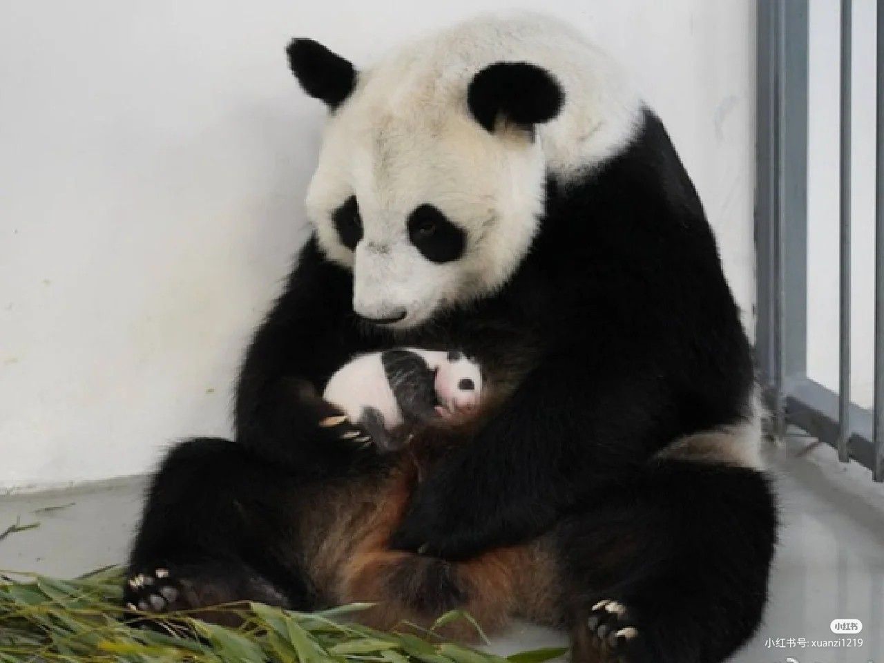 Phá Giới